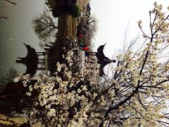 iphone_upload_pic-林屋洞景区