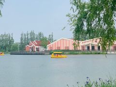 -上海长兴岛郊野公园