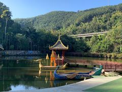 -西双版纳原始森林公园