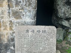-天目山大树王景区