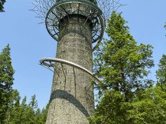 -黄海国家森林公园