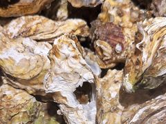 -汉丽斯巴西烤肉自助(市南店)