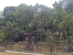 -草庵摩尼教遗址公园