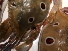 -火宴山海鲜自助火锅(新世界店)