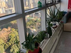 -新航道雅思托福·留学·考研培训(人民广场校区)