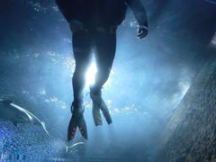 -成都浩海立方海洋公园