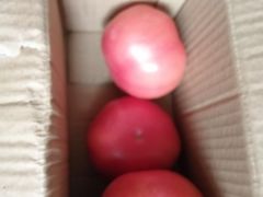 -光明食品集团有限公司