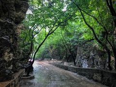 -北京上方山国家森林公园