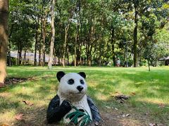 -成都市活水公园