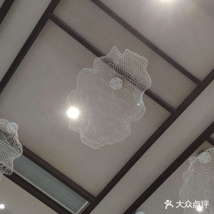 探店梁子湖龙湾度假村|小马代不是谁都可以叫的