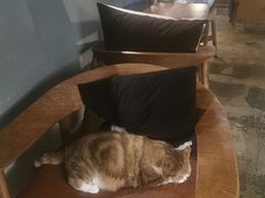 -咖法森林·咖啡  酒吧(天河店)