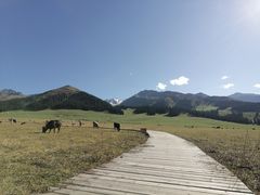 -新疆那拉提国家旅游度假区