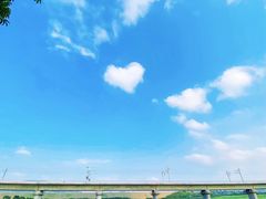 -光明小镇欢乐田园