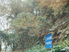 -火炉山森林公园