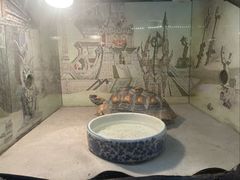 -上海昆虫博物馆