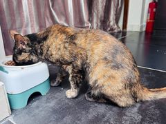 -EATALIA意塔利意式餐厅(鼓楼店)