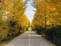 -意大利农场度假村