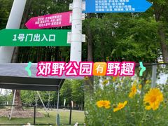 -上海长兴岛郊野公园