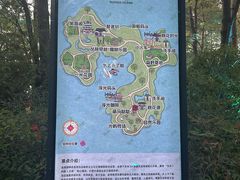 -金鸡湖桃花岛