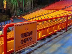 -广州长隆国际大马戏