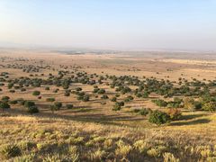 -五角枫生态旅游景区