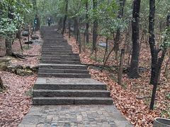 -紫金山山顶公园