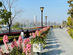 -上海山野camping·户外天幕烧烤·团建拓展营地