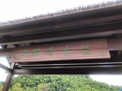 -会稽山峡洞漂流-上青古道