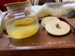 蜂蜜柚子茶-李小姐の猫咖啡馆(五角场店)