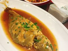 -金掌勺·锅包肉(广渠门店)