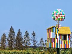 -杭州湾海上花田景区