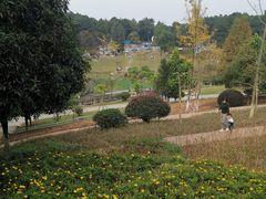 -铁山坪森林公园