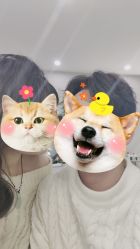 -素合写真摄影(合肥原创店)