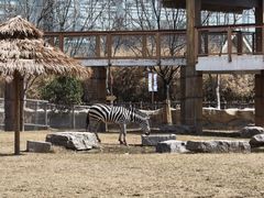 -祥源·阜阳生态乐园