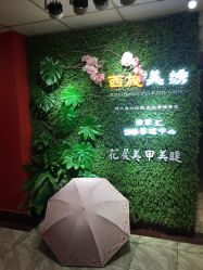 -西施无菌半永久纹绣眉眼影唇轻增发纹发际线