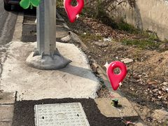-嘉北郊野公园