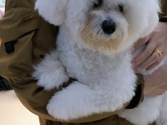 -萌兽医馆·宠物医院·猫骨科(创景店)