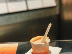 油柑茉莉-Dip in Gelato(富民路店)