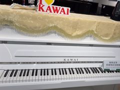 -柏斯音乐艺术中心·钢琴·吉他(上音店)