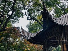 -上海兴国宾馆香樟园西餐厅