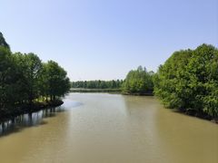 -上海海湾国家森林公园