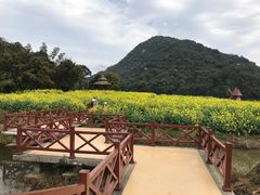 -广州市石门国家森林公园