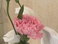 -新侨三宝乐西餐厅(崇文门店)