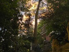 -水濂山森林公园