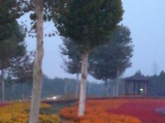 -羊亭河湿地公园