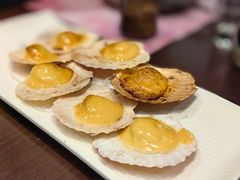 -黑松白鹿(金融街店)