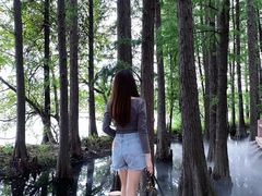 -东湖落雁景区