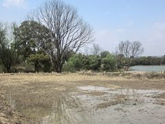 -河姆渡遗址博物馆