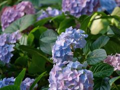 -新太二·鲜料川菜(晶耀前滩店)