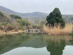 -习家池